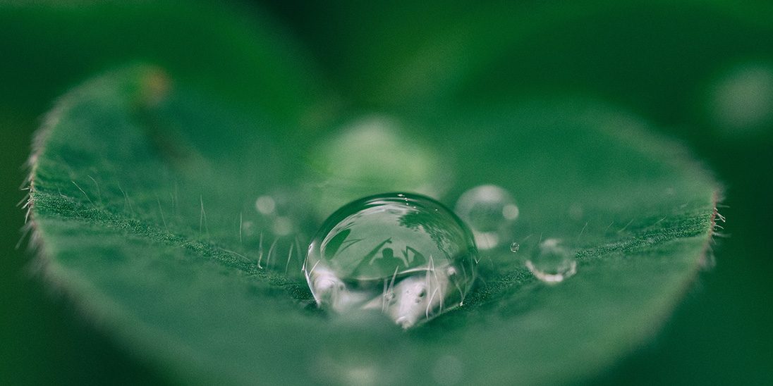 Appartamenti eco sostenibili in affitto a Milano